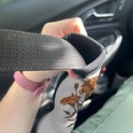 Personalized Birth Flower Soft Seat Belt Cover with Name 2 Pcs Vehicle Accessories Birthday Gift for Family Friend