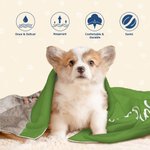 Couverture Douce Personnalisée avec Nom et Photo d'Animal de Compagnie Cadeau Anniversaire Noël pour Chien et Chat