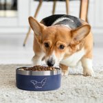 Personalized Dog Ear Design Food-grade Stainless Steel Food Water Bowl with Name Birthday Pet Feeding Supplies Gift for Pet Lovers