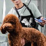 Personalized Hairdressing Paw Print Dog Cat Grooming Salon Waterproof Apron with Pockets and Adjustable Strap Birthday Gift for Pet Owners Groomers