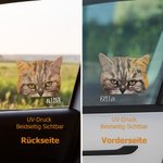Personalisierte Haustier Aufkleber Lustig Spähen und Portrait Stil Abziehbild Wetterfest Auto LKW Fenster Deko für Tierliebhaber