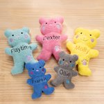 Personalized Cute Bear Soft Dog Squeaky Plush Toy with Embroidery Name for Teething Chewing Interactive Pet Supplies