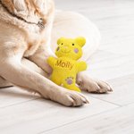 Personalized Cute Bear Soft Dog Squeaky Plush Toy with Embroidery Name for Teething Chewing Interactive Pet Supplies
