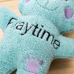 Personalized Cute Bear Soft Dog Squeaky Plush Toy with Embroidery Name for Teething Chewing Interactive Pet Supplies