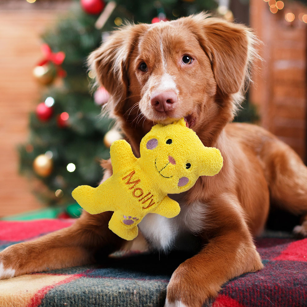 Collare Per Cani In Pelle Marrone Personalizzato / Collare Per Cani Imbottito Morbido Di Alta Qualità / Minuteria In Ottone / Collare Per Cani Inciso / Collare Per Cuccioli E Cani - Italia - Foto 3