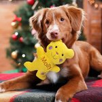 Personalized Cute Bear Soft Dog Squeaky Plush Toy with Embroidery Name for Teething Chewing Interactive Pet Supplies