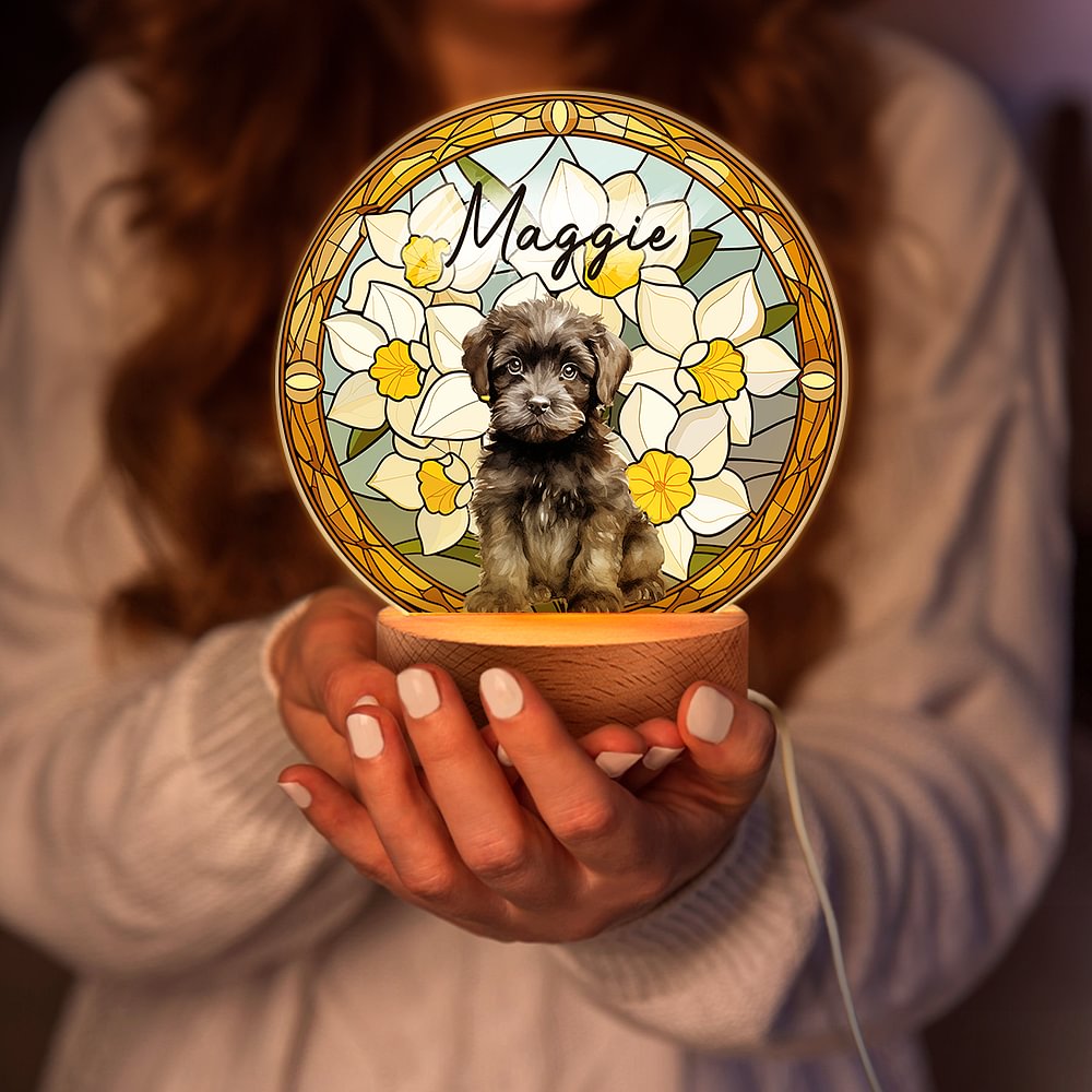 Veilleuse LED à effet vitrail avec socle en bois Cadeau d'anniversaire unique Propriétaire d'un animal de compagnie