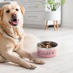 Personalised Paw Print Bone Name Food-grade Stainless Steel Dog Cat Food Water Bowl Non-slip Pet Feeding Supplies Birthday Gift for Pet Owners