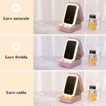 Portagioie in pelle PU personalizato con personaggio cartone animato fiore di nascita specchio LED a tre colori regalo di compleanno viaggio per donne