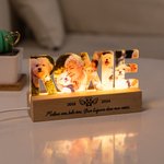 Veilleuse LED Personnalisée de Nom 3-7 Photos des Chiens Chats avec Base en Bois Cadeau de Sympathie Souvenir pour Propriétaire d'Animal de Compagnie