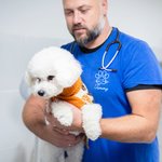 Personalized Veterinary Medicine Anatomy T-shirt Sweatshirt Hoodie with Name Vet Tech Week Birthday Graduation Gift for Vets Assistants Students