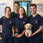 Personalized Veterinary Medicine Anatomy T-shirt Sweatshirt Hoodie with Name Vet Tech Week Birthday Graduation Gift for Vets Assistants Students