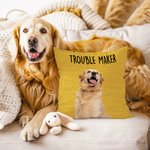 Personalizzato 1-6 cane gatto foto collage guai Maker morbido cuscino copertina Home Decor regalo di compleanno per l'amante degli animali domestici