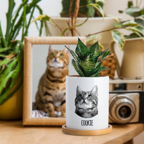 Personalized Pet Photo Name Ceramic Plant Pot with Drainage and Bamboo Base Home Decor Memorial Sympathy Remembrance Gift for Loss of Pet