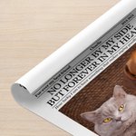 Personalizado El Tiempo de la Memoria Perro Gato Mascota Foto Póster Pintura Enmarcado con Nombre y Fecha Decoración del Hogar Regalo de Cumpleaños para los Amantes de las Mascotas