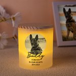 Personalizada Perro Gato Foto Nombre Año Conmemorativo Tarro con Vela LED y Tapa de Madera Simpatía Pérdida de Mascota Regalo para dueños de mascotas