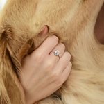 Bague Pesonnalisée avec Photo de Chat ou de Chien Cadeau pour Amoureux des Animaux de Compagnie