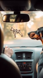 Personalized Wooden Cat Dog Hollow Line with Name Christmas Ornament Tree Hanging Gift for Pet Lovers