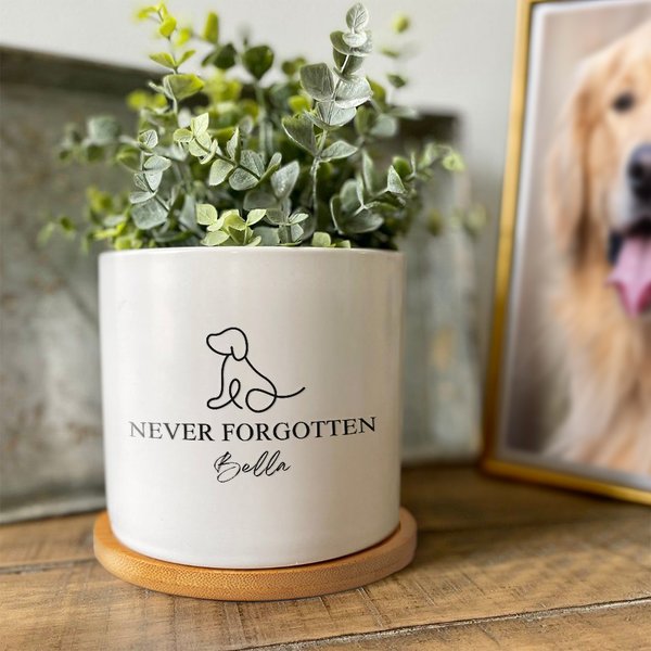 Personalised Pet Paw Name Ceramic Succulent Planter Pot with Drainage Hole and Bamboo Base Home Decor Pet Loss Sympathy Gift for Cat Dog Owner Lover