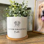 Personalised Dog Cat Pet Line Design Ceramic Succulent Planter Pot with Name and Bamboo Tray Loss of Pet Memorial Gift for Pet Owner