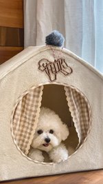 Personalized Wooden Cat Dog Hollow Line with Name Christmas Ornament Tree Hanging Gift for Pet Lovers