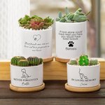 Maceta Suculenta de Cerámica con Agujero de Drenaje y Base de Bambú Decoración para el Hogar Regalo de Condolencia por Pérdida de Mascota para Amante de Dueño de Perro y Gato