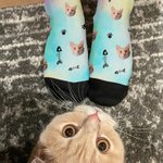 Personalized Multicolor Dog Cat Pet Photo Paw Fishbone Print Design Tube Socks with Name Birthday Party Gift for Pet Owner Lover