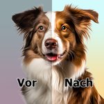 Personalisierte Haustierporträt Ölmalerei-Stil Jute Tragetasche mit Namen Wiederverwendbares Reisezubehör Geburtstag Geschenk für Tierliebhaber