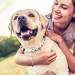 Collier et bracelet d'amitié personnalisé fait à la main avec des perles élastiques colorées Cadeau d'anniversaire pour chat, chien, maman et propriétaire d'un animal de compagnie