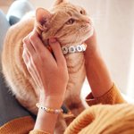 Collier et bracelet d'amitié personnalisé fait à la main avec des perles élastiques colorées Cadeau d'anniversaire pour chat, chien, maman et propriétaire d'un animal de compagnie