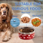 Personalised Stainless Steel Cute Paw Dog Feeding Supplies Bowl with Name Birthday Gifts for Pet Lover