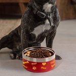 Personalised Stainless Steel Cute Paw Dog Feeding Supplies Bowl with Name Birthday Gifts for Pet Lover