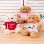 Personalized Cute Stuffed Heart Bear Plush Toy with 1-2  Names T-shirt or Hoodie Valentine's Day Anniversary  Photo Prop Gift for Couple
