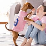 Personalised National Flag Element 100% Cotton Dog Shirt Waistcoat with Name and Number Game Day Costume Birthday Party Gift for Pet Lovers