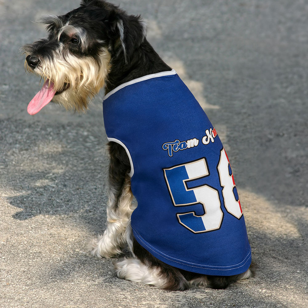 Gilet pour chien personnalisé avec nom et numéro Drapeau national Élément 100 % coton Cadeau d'anniversaire pour les amoureux des animaux de compagnie