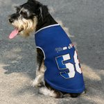 Personalised National Flag Element 100% Cotton Dog Shirt Waistcoat with Name and Number Game Day Costume Birthday Party Gift for Pet Lovers