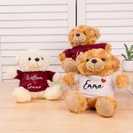 Personalized Cute Stuffed Heart Bear Plush Toy with 1-2  Names T-shirt or Hoodie Valentine's Day Anniversary  Photo Prop Gift for Couple
