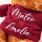 Personalized Cute Stuffed Heart Bear Plush Toy with 1-2  Names T-shirt or Hoodie Valentine's Day Anniversary  Photo Prop Gift for Couple