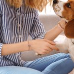 Personalised Dog Paw Print Photo Projection Braided or Beaded Elastic Bracelet Memorial Sympathy Keepsake Gift for Loss of Pet