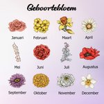 Gepersonaliseerde 1-12 Geboortebloem Tuin Acryl LED Nachtlamp met Houten Basis Woondecoratie Moederdag Verjaardags Cadeau voor Oma Mama