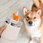 Personalisierte Multicolor 3D gedruckt Katze Hund Form Stroh Topper mit Namen Zubehör für Stanley Tumbler Geburtstag Party Geschenk für Tierliebhaber