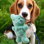 Personalized Cute Bear Soft Dog Squeaky Plush Toy with Embroidery Name for Teething Chewing Interactive Pet Supplies