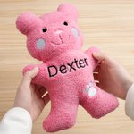 Personalized Cute Bear Soft Dog Squeaky Plush Toy with Embroidery Name for Teething Chewing Interactive Pet Supplies