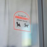 Henkilökohtainen Hätätilanteessa Pet Inside Rescue Vedenpitävä Vinyyli tarra 1-6 Pet siluetteja ja nimet Housewarming lahja lemmikkieläinten omistajille