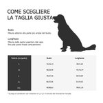 Felpa con cappuccio a quadri personalizzata per cuccioli con nome ricamato regalo per cani e amanti degli animali