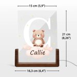 Gepersonaliseerde Schattige Bosdier Ster Wolk Acryl LED Nachtlampje met Houten Basis Naam Initiaal Verjaardag Kinderfeest Cadeau voor Jongens Meisjes
