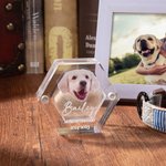 Gepersonaliseerde Engel Vleugels Hond Kat Vacht Herinneringsdoos met Foto Naam Huisdierverlies Aandenken Cadeau voor Huisdierbezitters en Liefhebbers