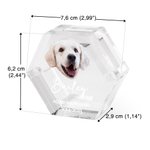 Gepersonaliseerde Engel Vleugels Hond Kat Vacht Herinneringsdoos met Foto Naam Huisdierverlies Aandenken Cadeau voor Huisdierbezitters en Liefhebbers