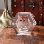 Gepersonaliseerde Engel Vleugels Hond Kat Vacht Herinneringsdoos met Foto Naam Huisdierverlies Aandenken Cadeau voor Huisdierbezitters en Liefhebbers