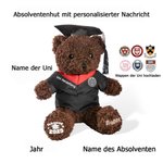 Personalisierter Niedlicher Absolventenhut Plüsch Teddybär mit Namen und Uni-Wappen Schule Abschluss Geschenk für Kinder Absolventen der Klasse 2025
